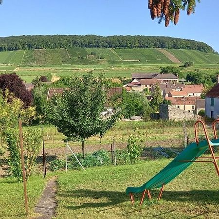 Gite Du Bel Air Festigny  Eksteriør billede