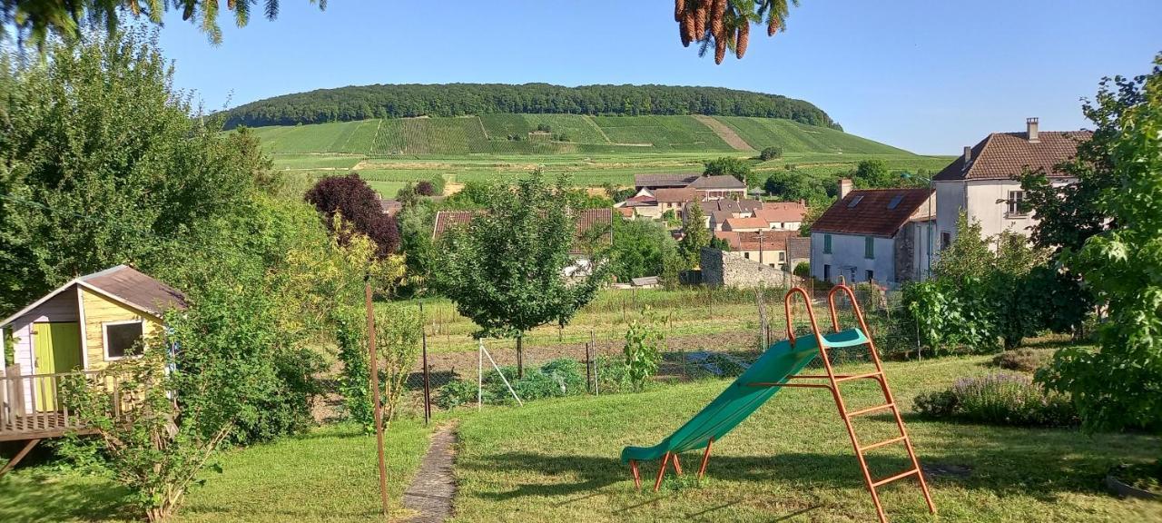 Gite Du Bel Air Festigny  Eksteriør billede